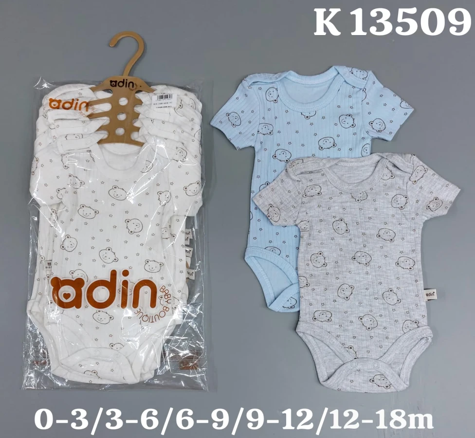 KUCUK AYI BASKL KISA KOL BADI