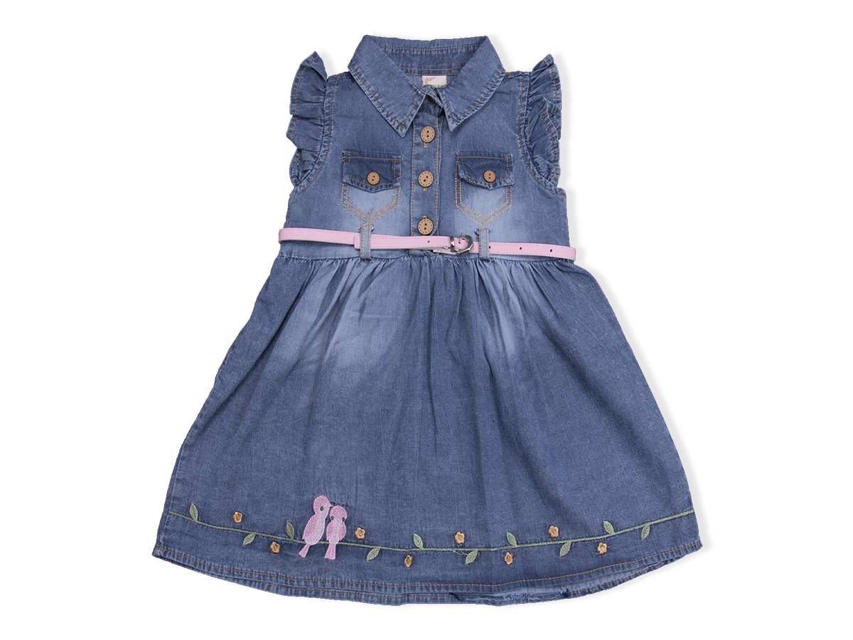 2-5 YAS KUS NAKISLI ELBISE