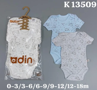 KUCUK AYI BASKL KISA KOL BADI